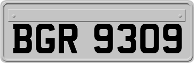 BGR9309