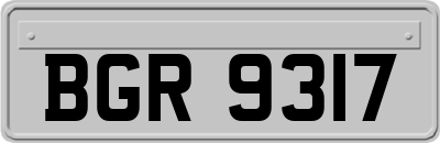 BGR9317