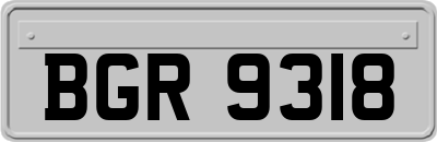 BGR9318