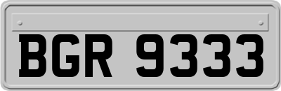 BGR9333