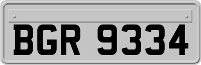 BGR9334
