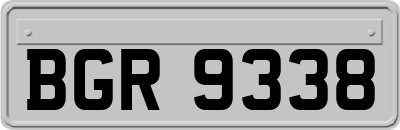 BGR9338