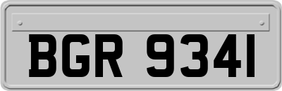 BGR9341