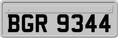 BGR9344