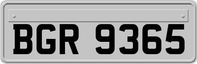 BGR9365