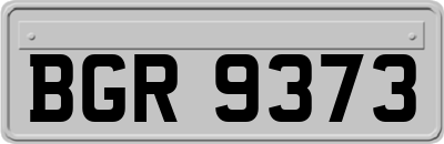 BGR9373