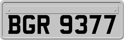 BGR9377