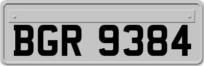 BGR9384