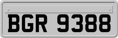 BGR9388