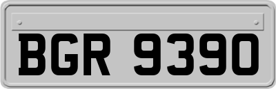 BGR9390