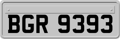 BGR9393