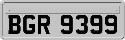 BGR9399