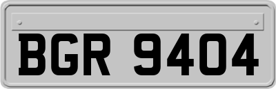 BGR9404
