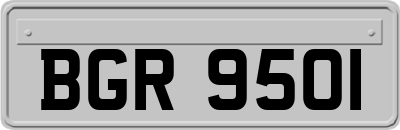 BGR9501