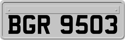 BGR9503