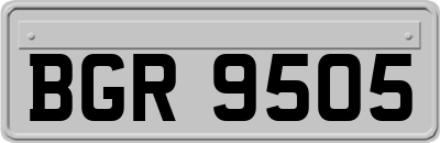 BGR9505