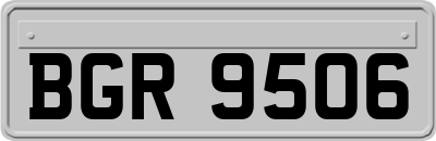 BGR9506