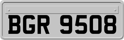 BGR9508
