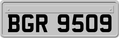 BGR9509