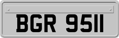 BGR9511