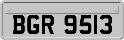 BGR9513