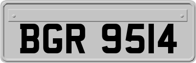 BGR9514
