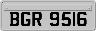 BGR9516