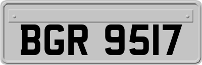BGR9517