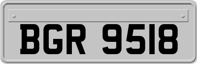 BGR9518