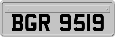 BGR9519