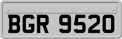 BGR9520