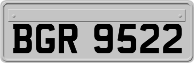 BGR9522