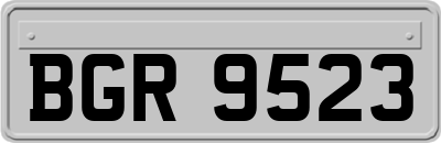 BGR9523