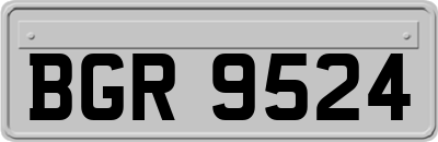 BGR9524