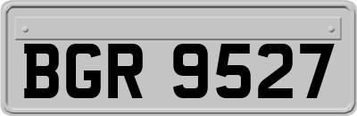 BGR9527