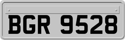 BGR9528