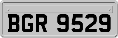 BGR9529