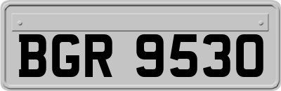 BGR9530