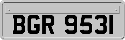 BGR9531