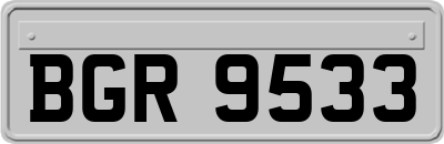 BGR9533