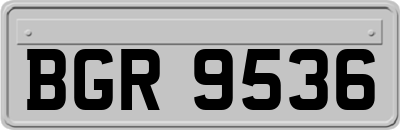 BGR9536