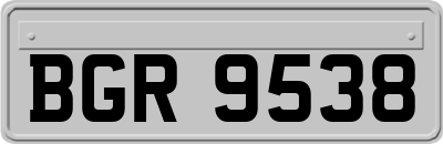 BGR9538