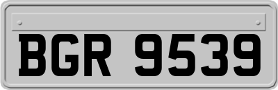 BGR9539