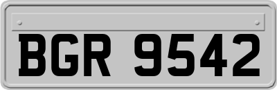 BGR9542