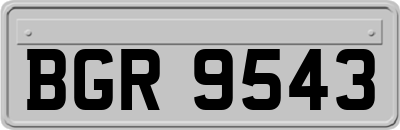 BGR9543