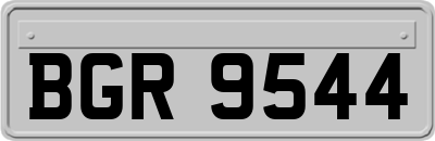 BGR9544