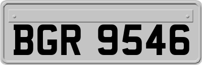 BGR9546