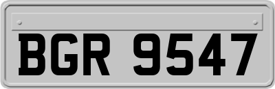 BGR9547