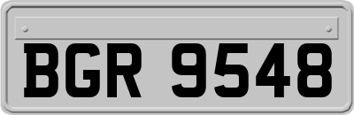 BGR9548