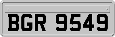 BGR9549